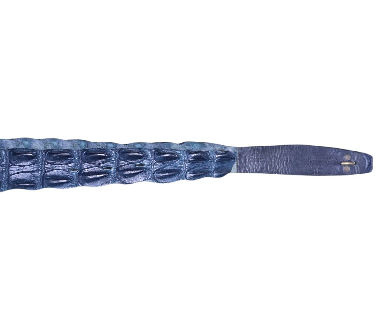 Roberto Cavalli Dark blue Crocodile belt